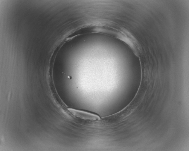 X0000071910485200607212046