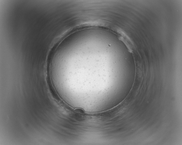 X0000071910486200607212046