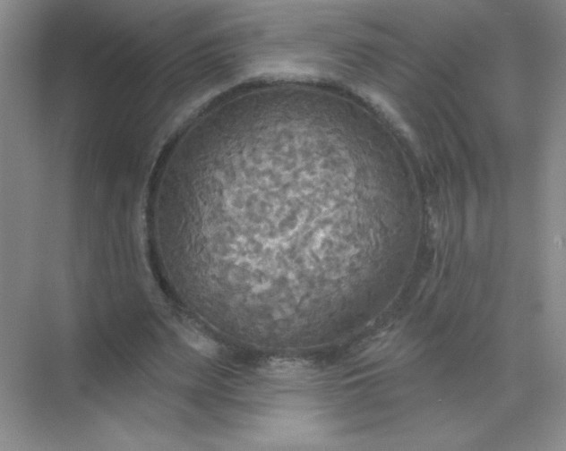 X0000071910487200607212046