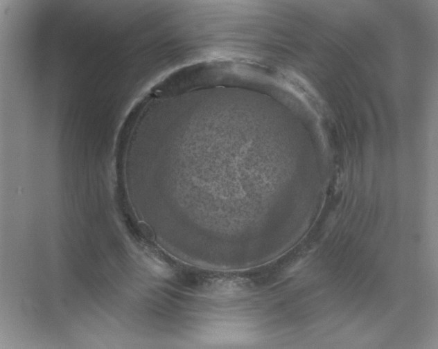 X0000071910488200607212046