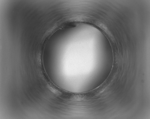 X0000071910489200607212046