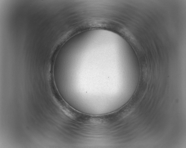 X0000071910490200607212046