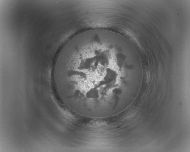 X0000071910491200607212046