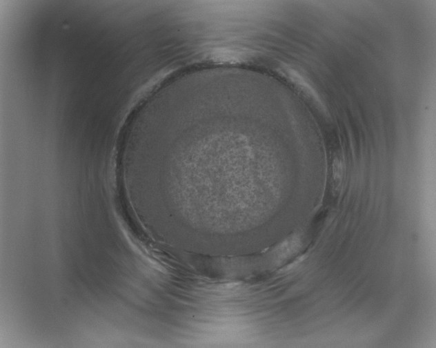 X0000071910492200607212046