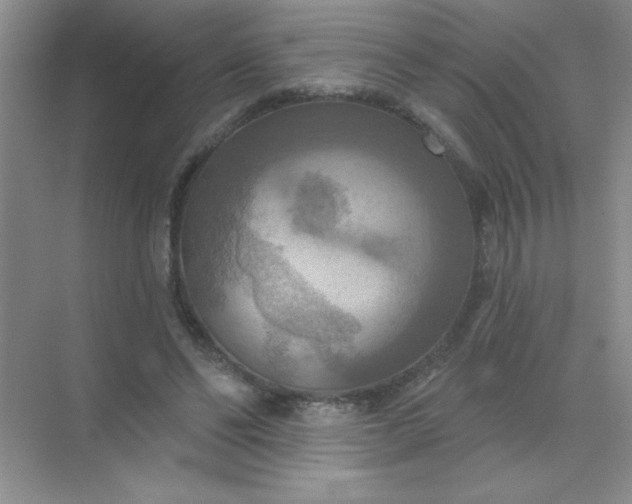 X0000071910494200607212046