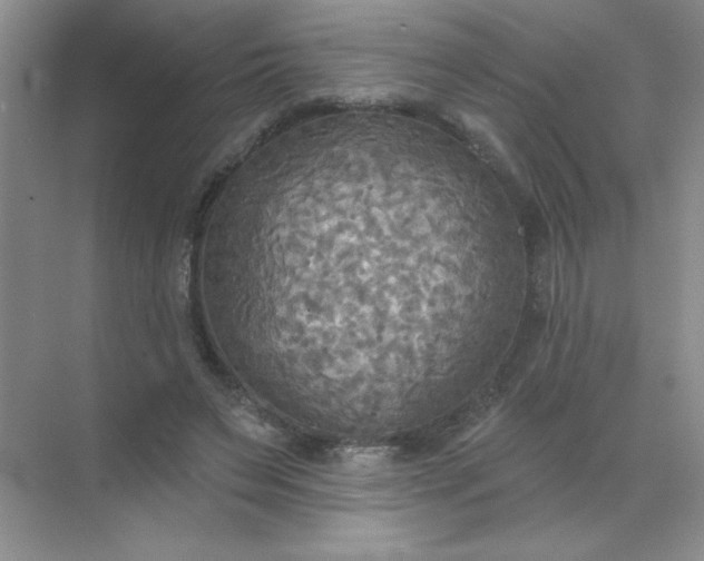 X0000071910495200607212046