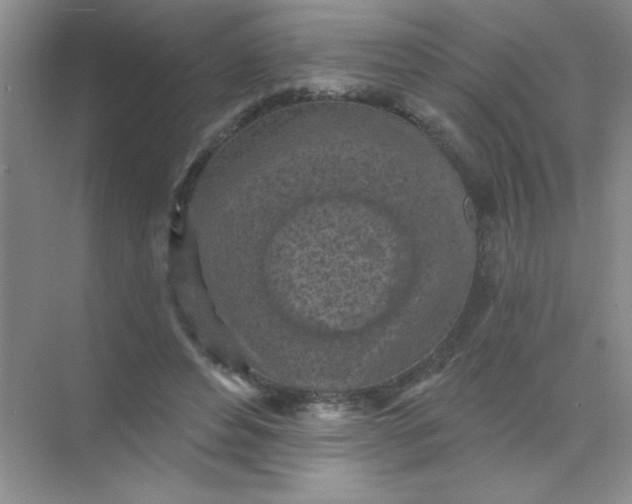 X0000071910496200607212046