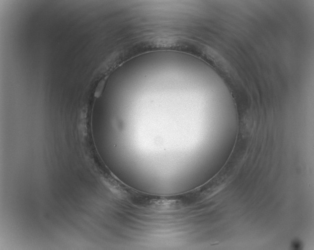 X0000071910497200607212046