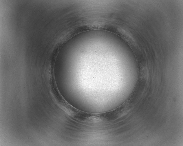 X0000071910498200607212046