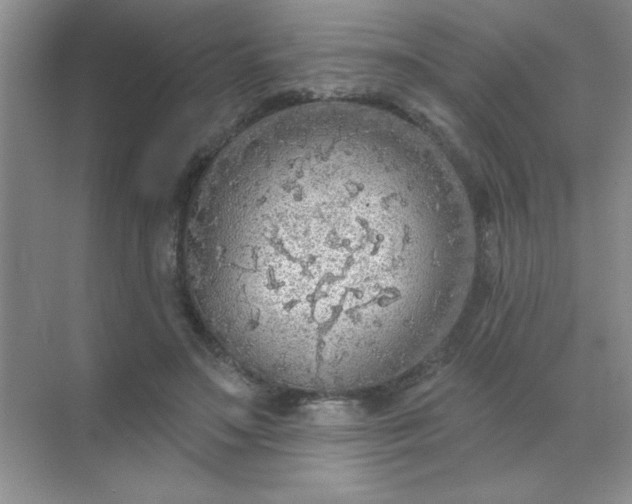 X0000071910499200607212046