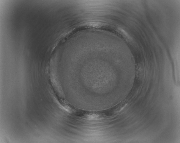 X0000071910500200607212046