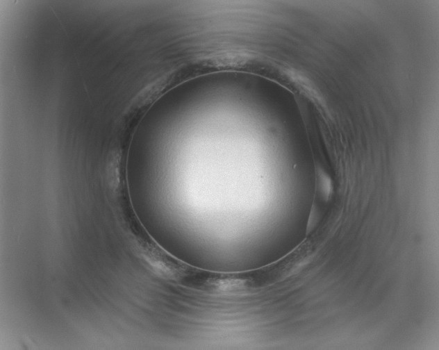 X0000071910501200607212046