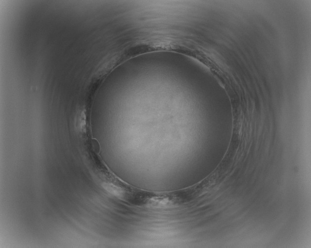 X0000071910502200607212046