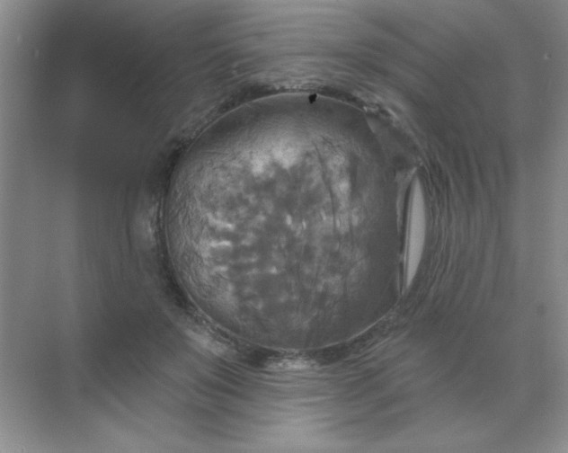 X0000071910503200607212046