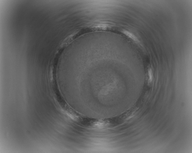 X0000071910504200607212046