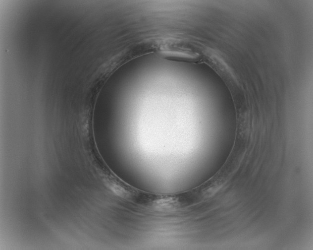 X0000071910505200607212046