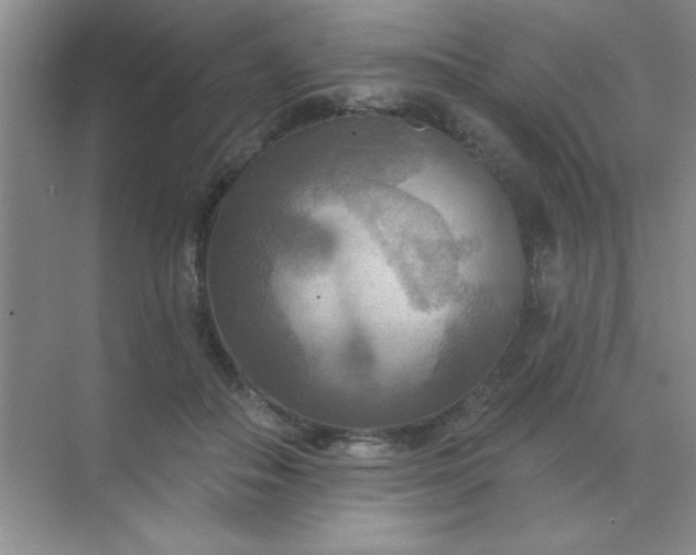 X0000071910506200607212046