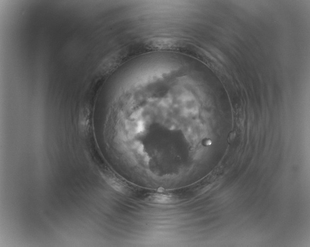 X0000071910507200607212046