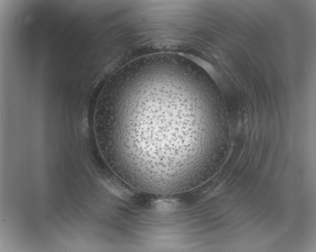 X0000071910508200607212046