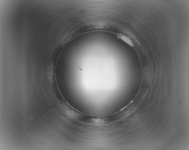 X0000071910509200607212046