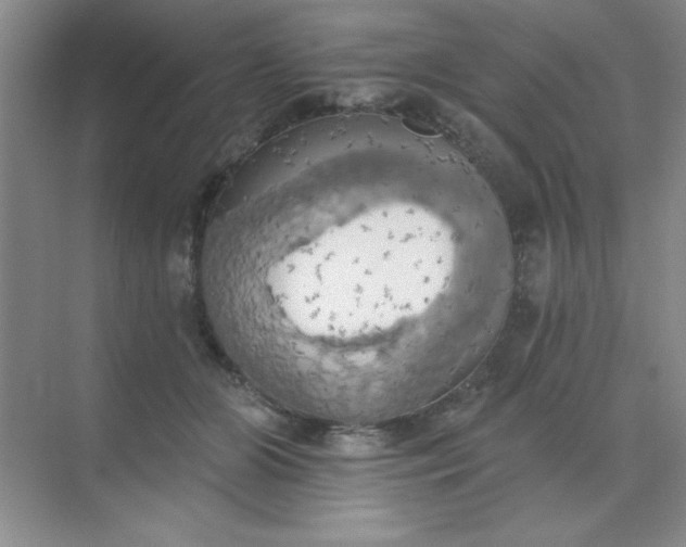 X0000071910510200607212046