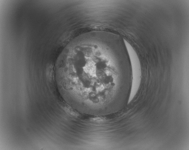 X0000071910511200607212046