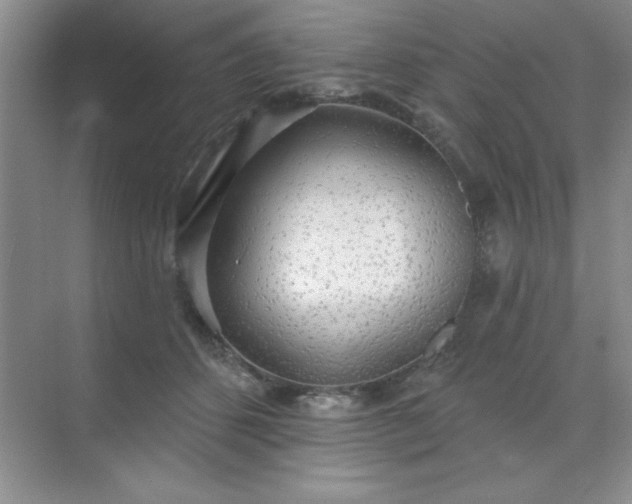 X0000071910512200607212046