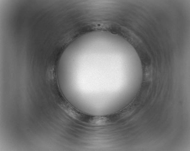 X0000071910514200607212046