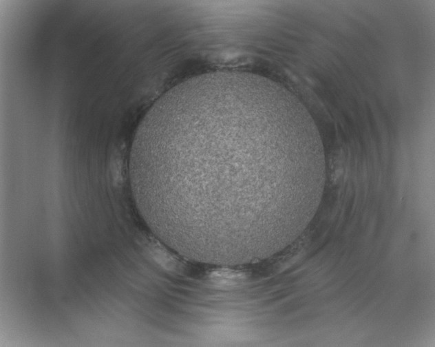 X0000071910515200607212046