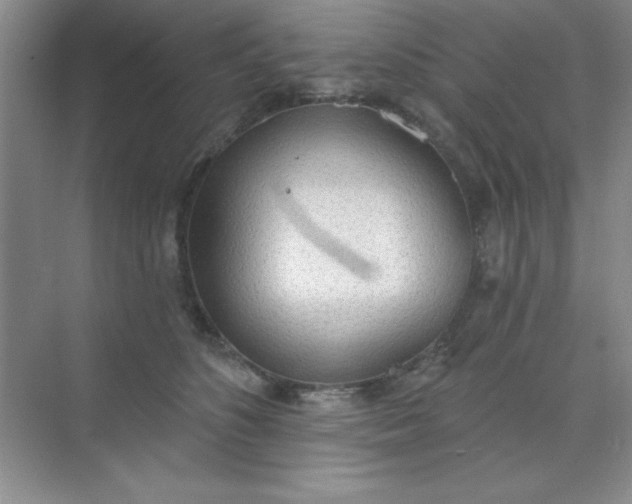 X0000071910516200607212046