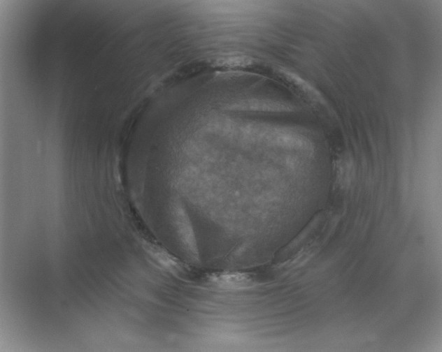 X0000071910517200607212045