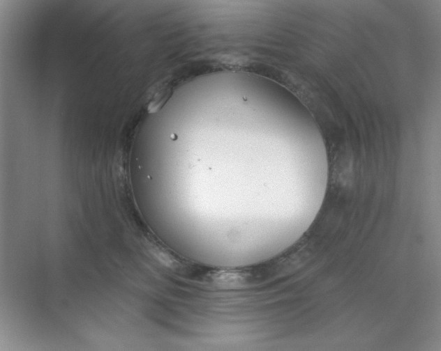 X0000071910518200607212045