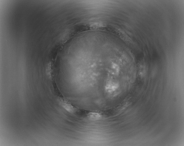 X0000071910519200607212045