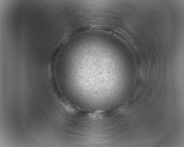 X0000071910520200607212045