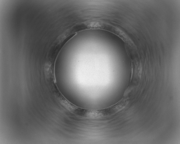 X0000071910521200607212045