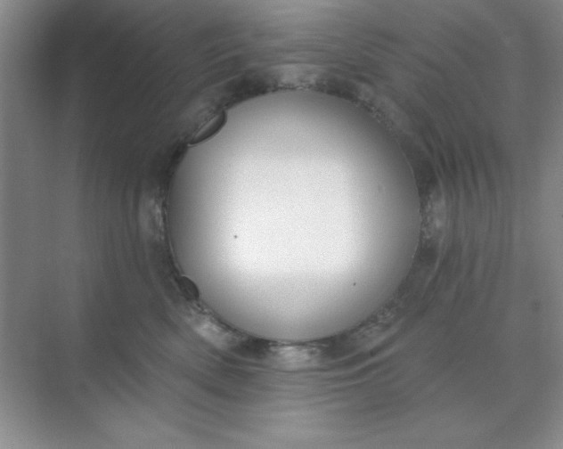 X0000071910522200607212045