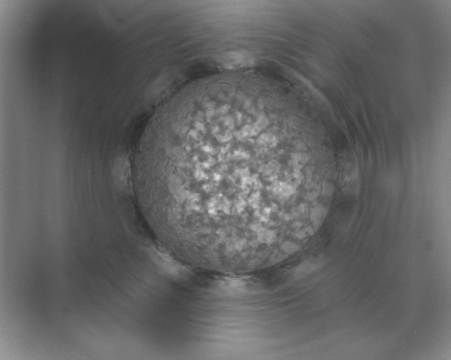 X0000071910523200607212045