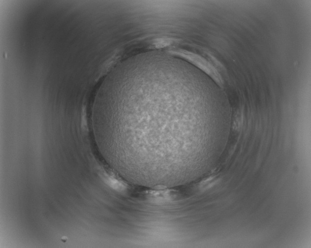 X0000071910524200607212045