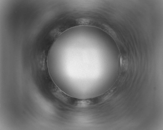 X0000071910525200607212045