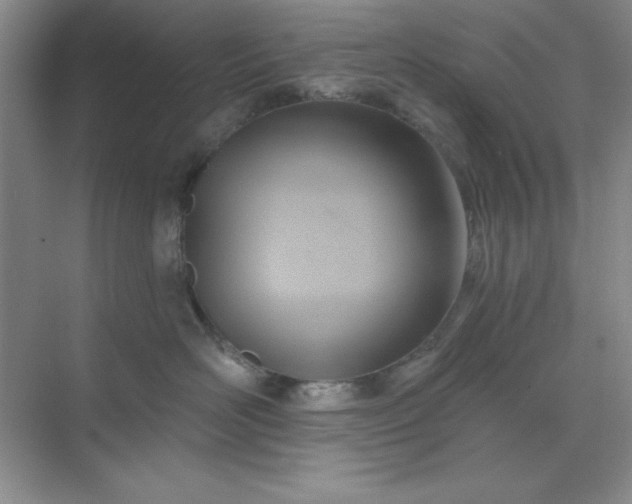 X0000071910526200607212045