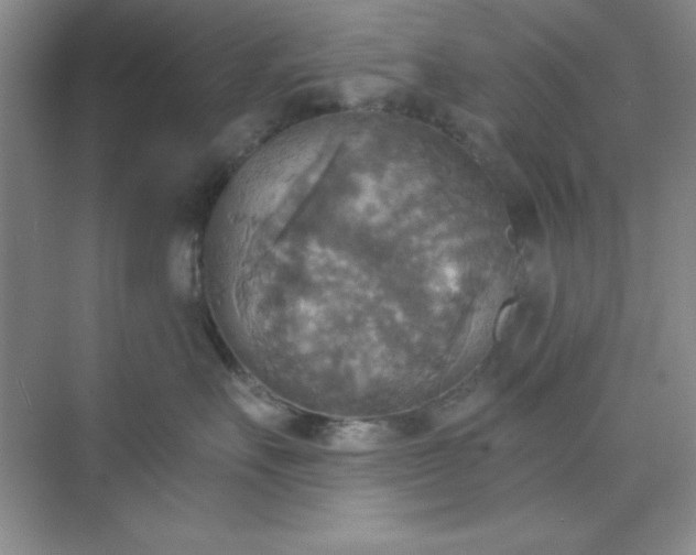 X0000071910527200607212045