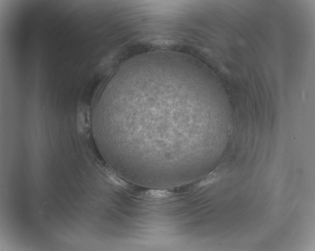 X0000071910528200607212045