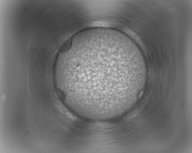 X0000071910529200607212045