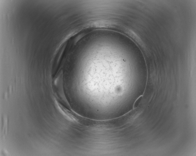 X0000071910530200607212045