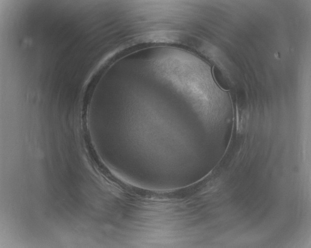 X0000071910531200607212045