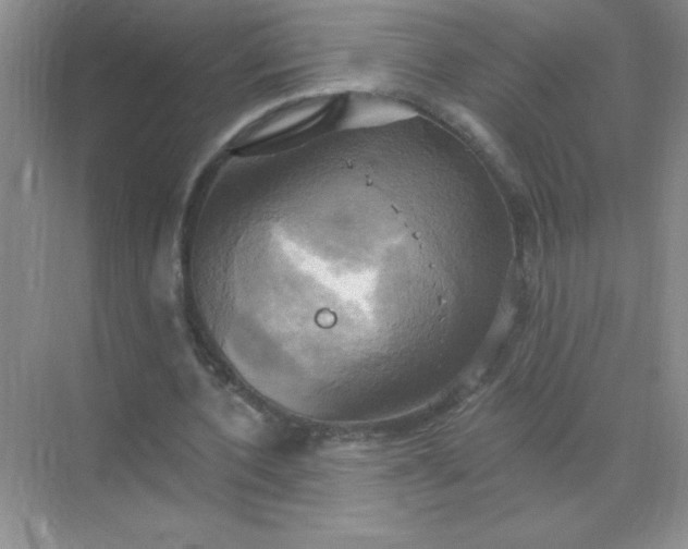 X0000071910532200607212045