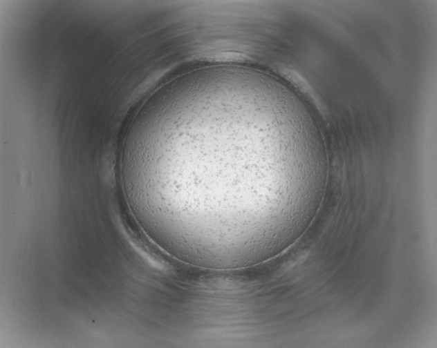 X0000071910533200607212045