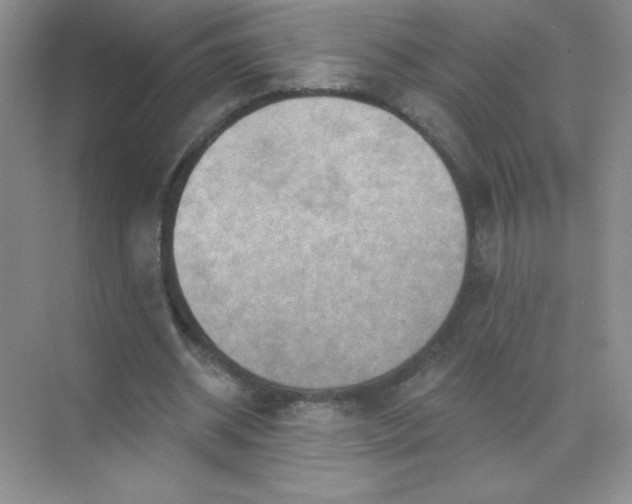 X0000071910534200607212045