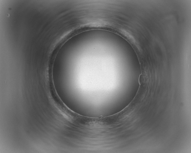 X0000071910535200607212045