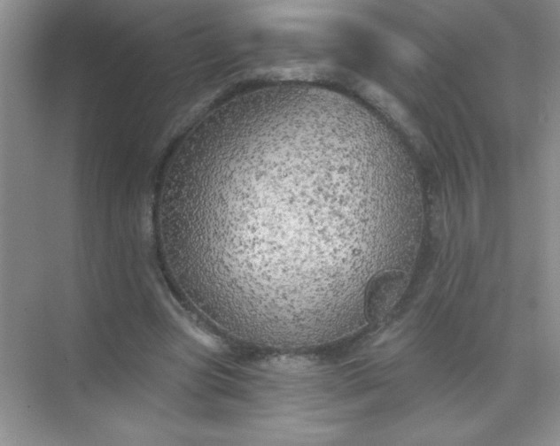 X0000071910537200607212045